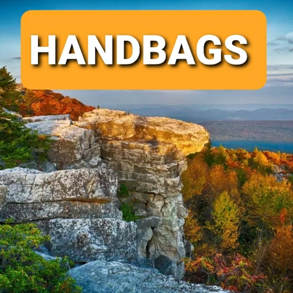 👛 HANDBAGS - Picture 1 of 1